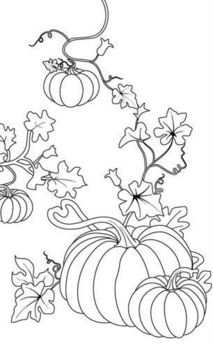 Pumpkin Coloring Pages