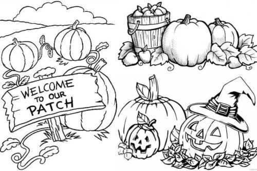 30 Free Pumpkin Patch Coloring Pages Printable