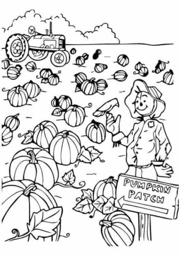 Pumpkin Patch Coloring Pages Printabe