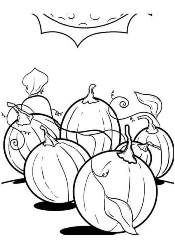 Pumpkin Patch Pages To Color