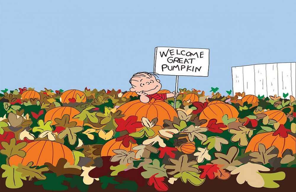 Pumpkin Patch Pumpkin Patch
