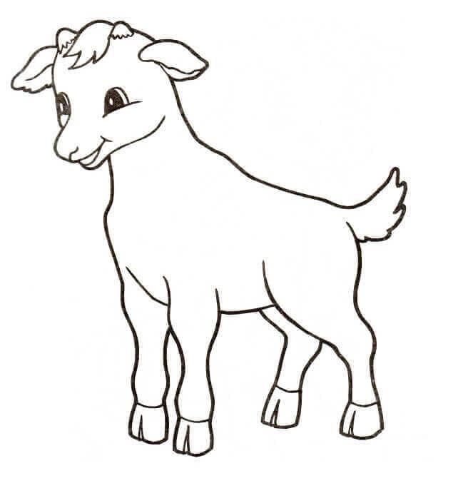 Cute Calf Coloring Page