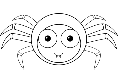 Cute Spider