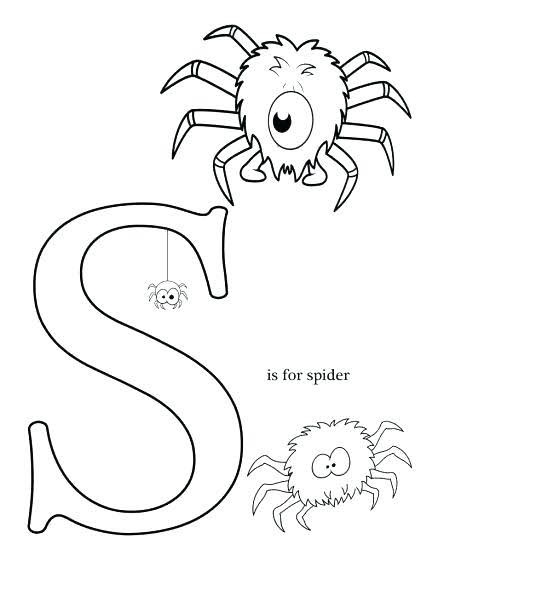 S For Spider