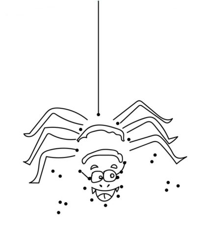 Spider Activity Sheet