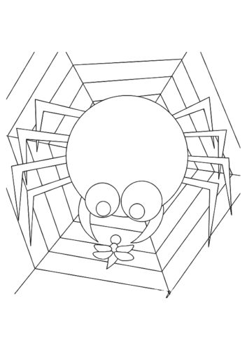 Spider Found Food Spider Found Food