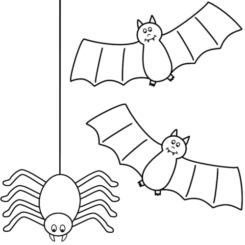 Spider Hanging Out With Bats