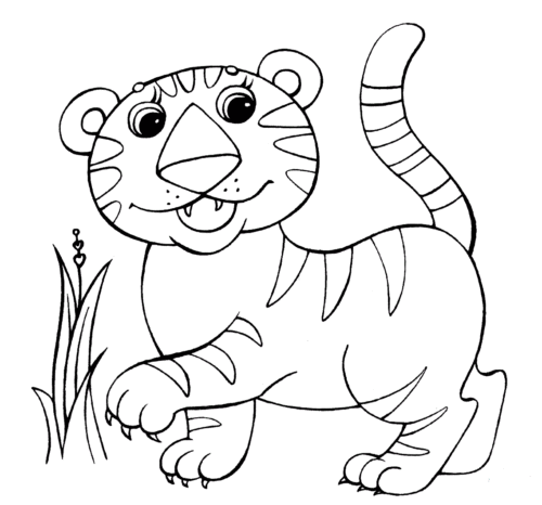 Tiger Looks Happy Tiger Looks Happy