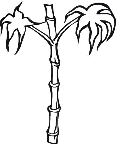 Bamboo Tree Coloring Page