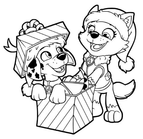 Puppy In Christmas Gift Box Puppy In Christmas Gift Box