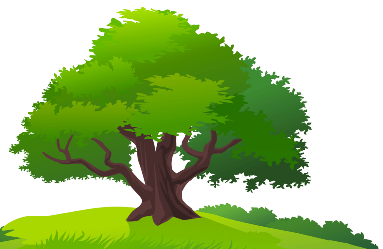 35 Free Tree Coloring Pages Printable – ScribbleFun