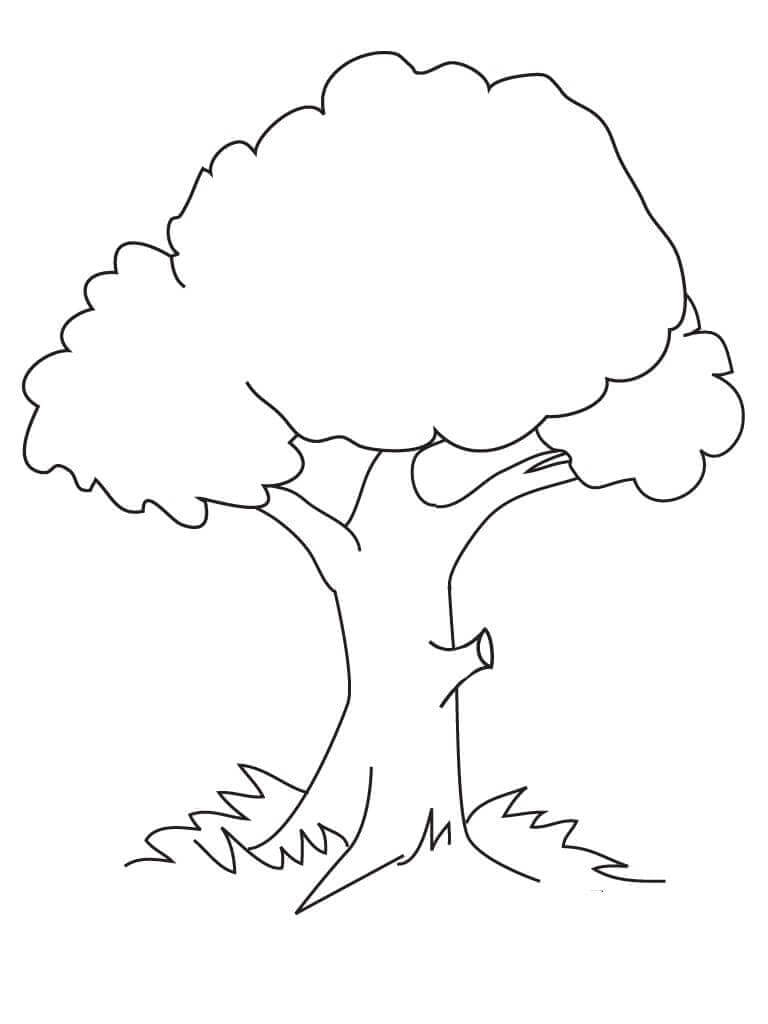 Tree Coloring Pages for Preschoolers