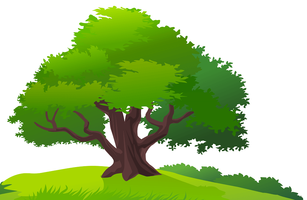 35 Free Tree Coloring Pages Printable
