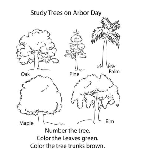 Trees Coloring Pages