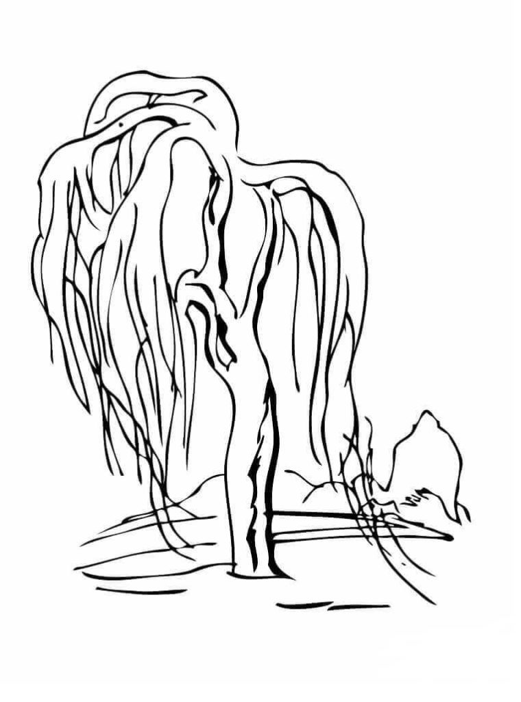 35 Free Tree Coloring Pages Printable