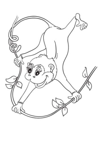 Cartoon Monkey Coloring Page