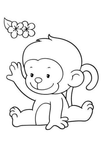Cute Baby Monkey Colorirng Page