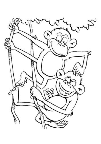 Funny Monkey Coloring Page