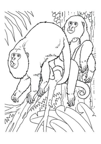 Howler Monkey Coloring Page Howler Monkey Coloring Page