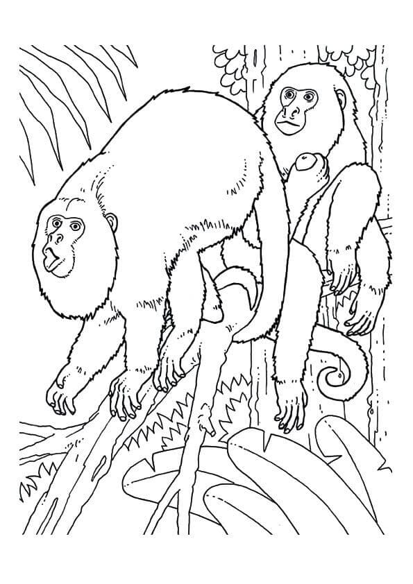 Howler Monkey Coloring Page