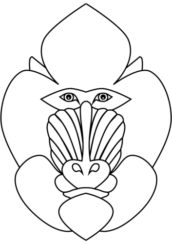 Mandrill Coloring Pages