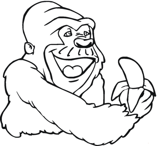 Monkey Eating Banana