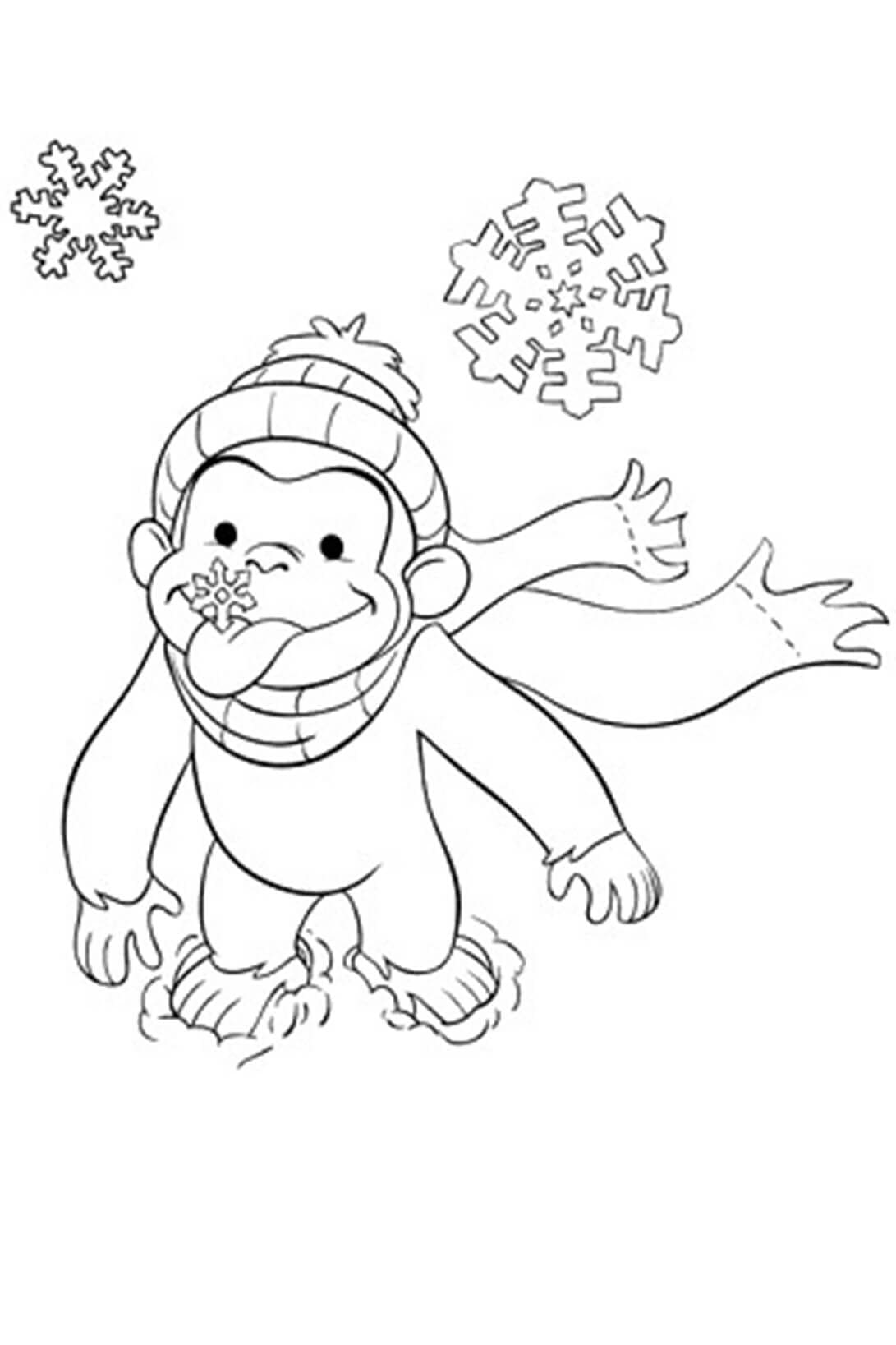 Monkey Tasting Snowflake