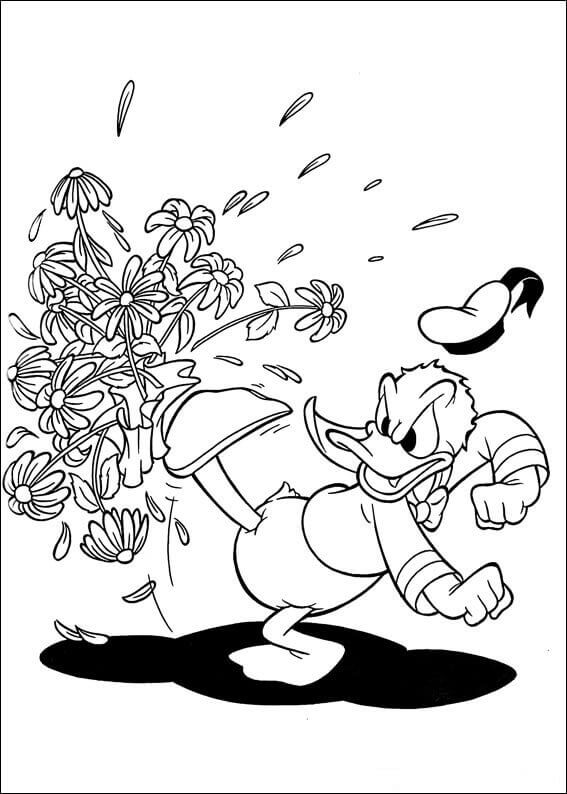 35 Free Donald Duck Coloring Pages Printable