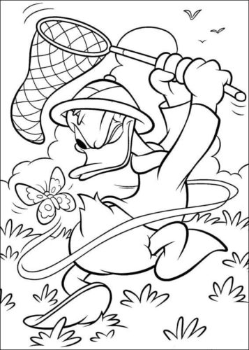 Donald Duck Colouring Pages