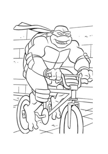 Turtles Can Ride A Bike Too