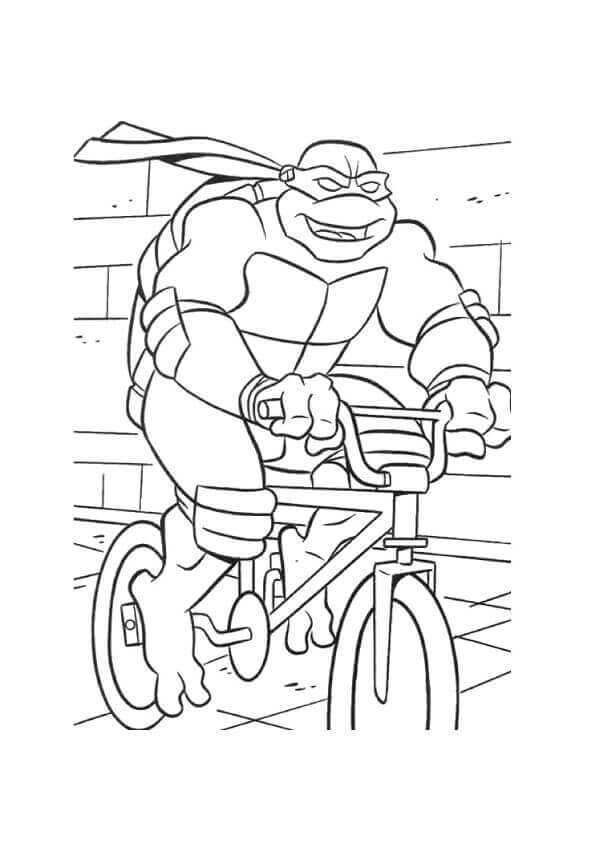 Turtles Can Ride A Bike Too