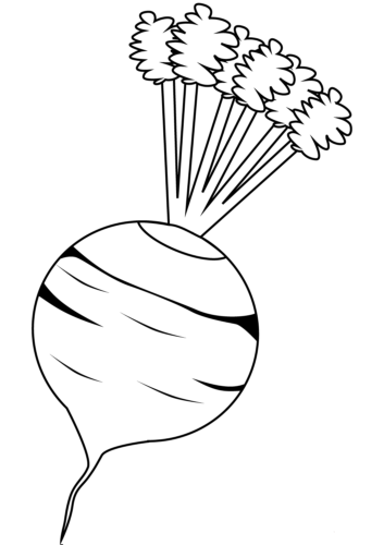 Beet coloring page