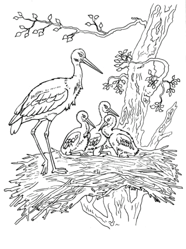 red wing black bird coloring pages