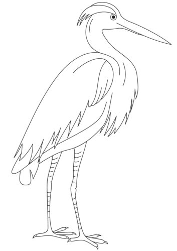 Egret coloring page
