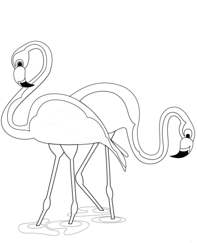 Flamingos coloring page