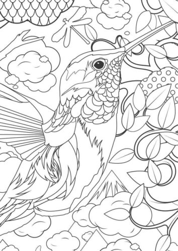 Hummingbird coloring in