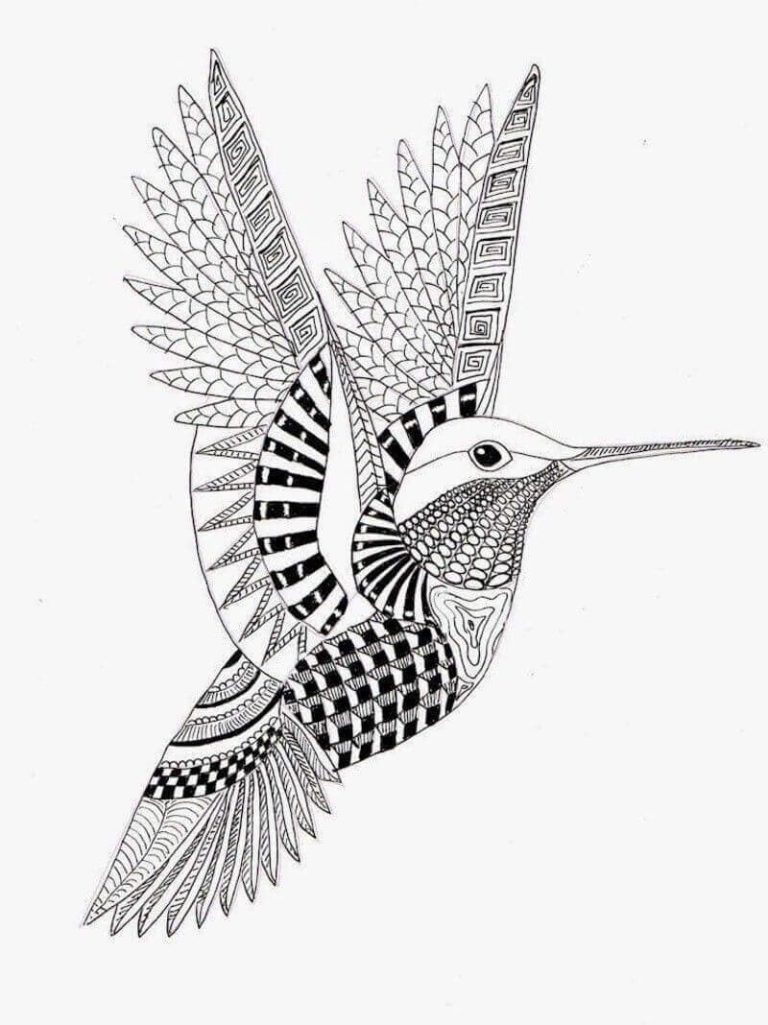 25 Free Hummingbirds Coloring Pages Printable