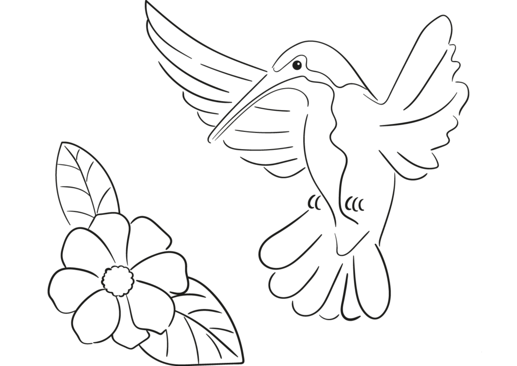 25 Free Hummingbirds Coloring Pages Printable