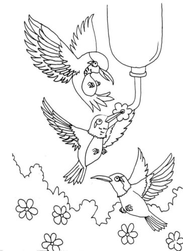 Hummingbird colouring pages