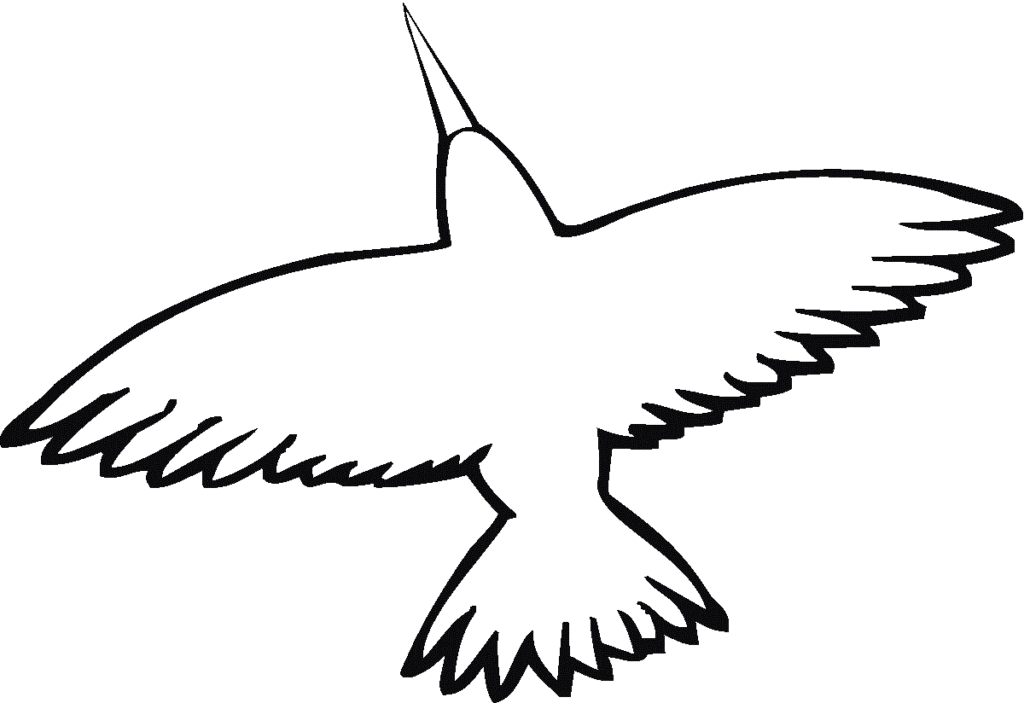 25 Free Hummingbirds Coloring Pages Printable