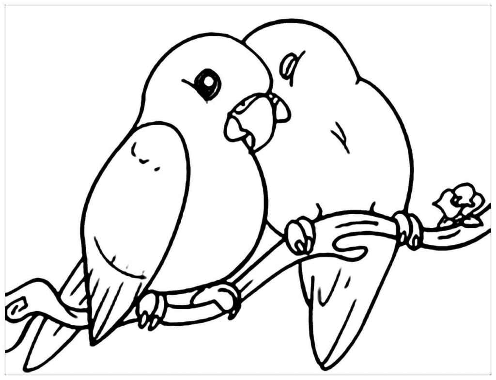 40 Birds Coloring Pages Printable