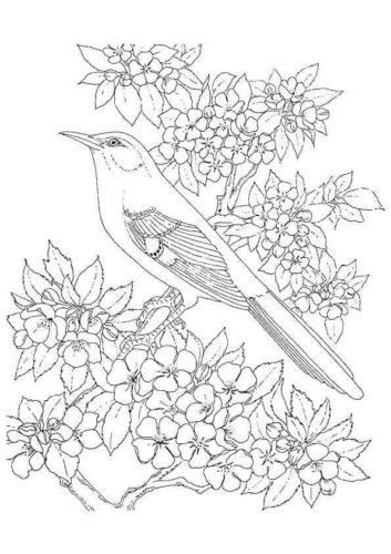 Mockingbird coloring page