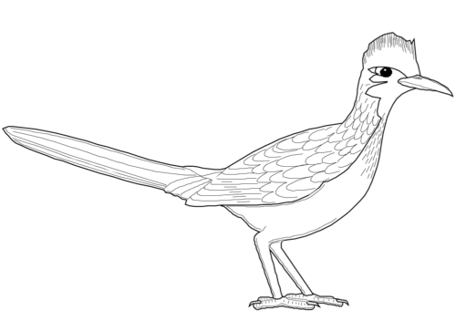 Roadrunner coloring page