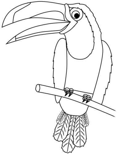 Toucan coloring page