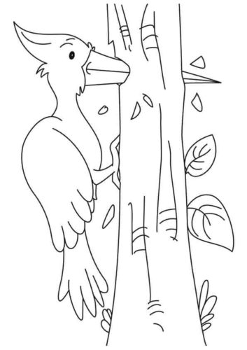 Woodpecker coloring page