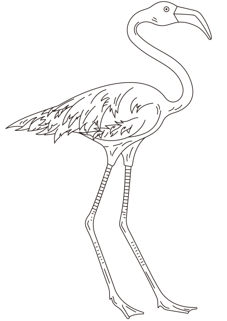 30 Free Flamingo Coloring Pages Printable