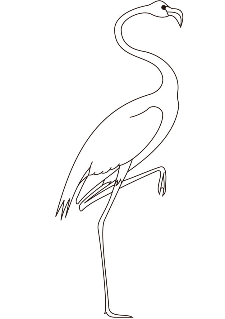 30 Free Flamingo Coloring Pages Printable