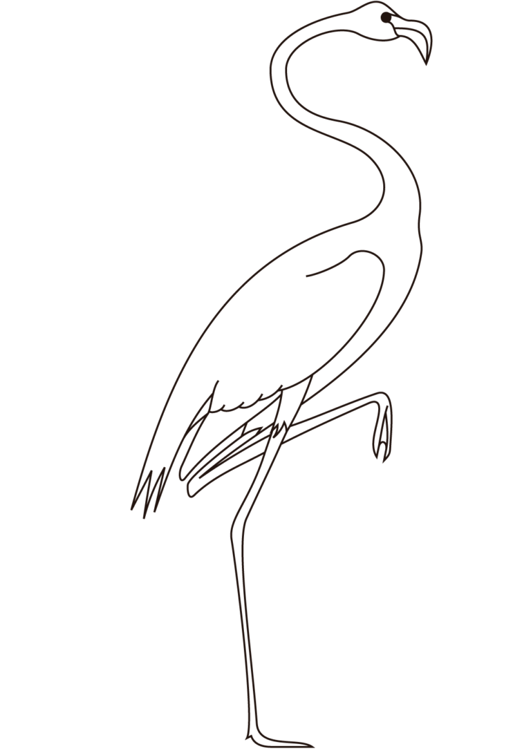 30 Free Flamingo Coloring Pages Printable