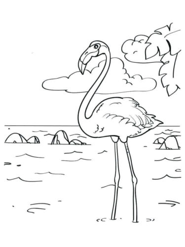Flamingo coloring pictures