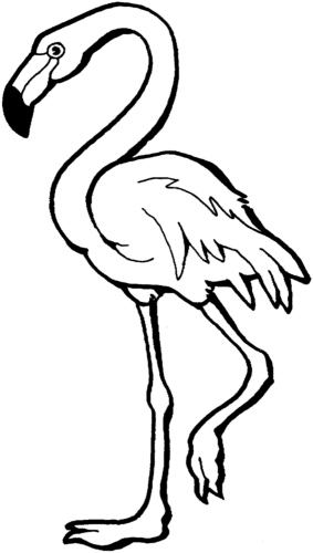 Free printable flamingo coloring page